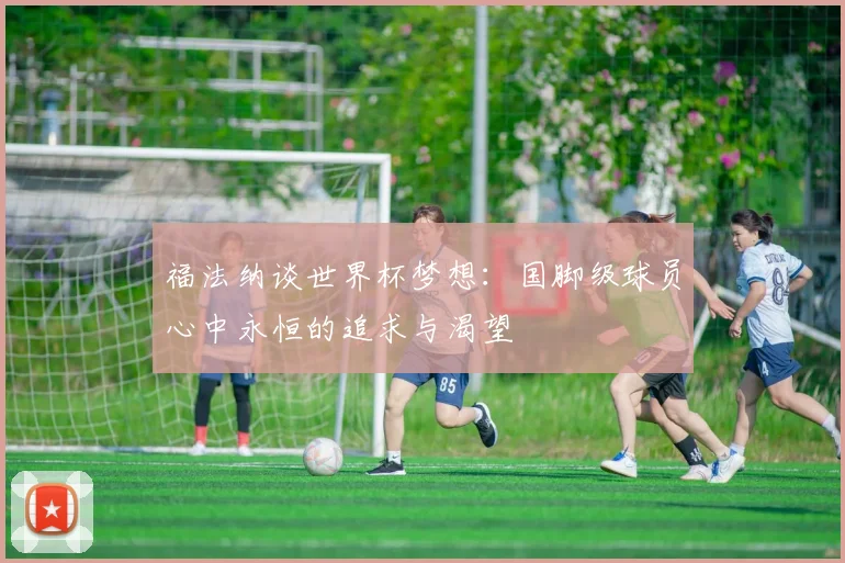 福法纳谈世界杯梦想：国脚级球员心中永恒的追求与渴望