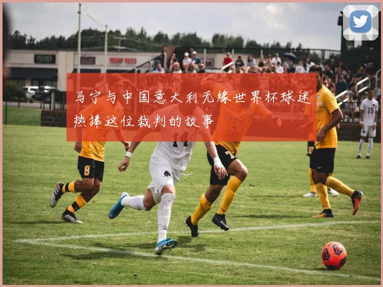 马宁与中国意大利无缘世界杯球迷热捧这位裁判的故事