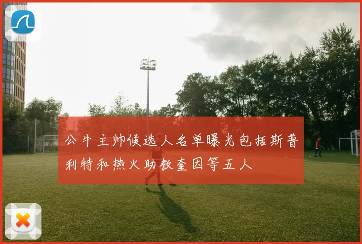 公牛主帅候选人名单曝光包括斯普利特和热火助教奎因等五人